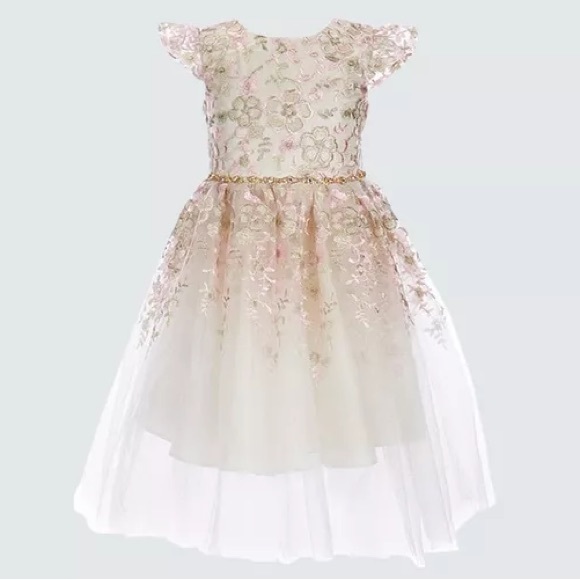 Rare Editions Other - Rare Editions Flutter Sleeve Jeweled Waist Floral Embroidered Flower Girl Mesh